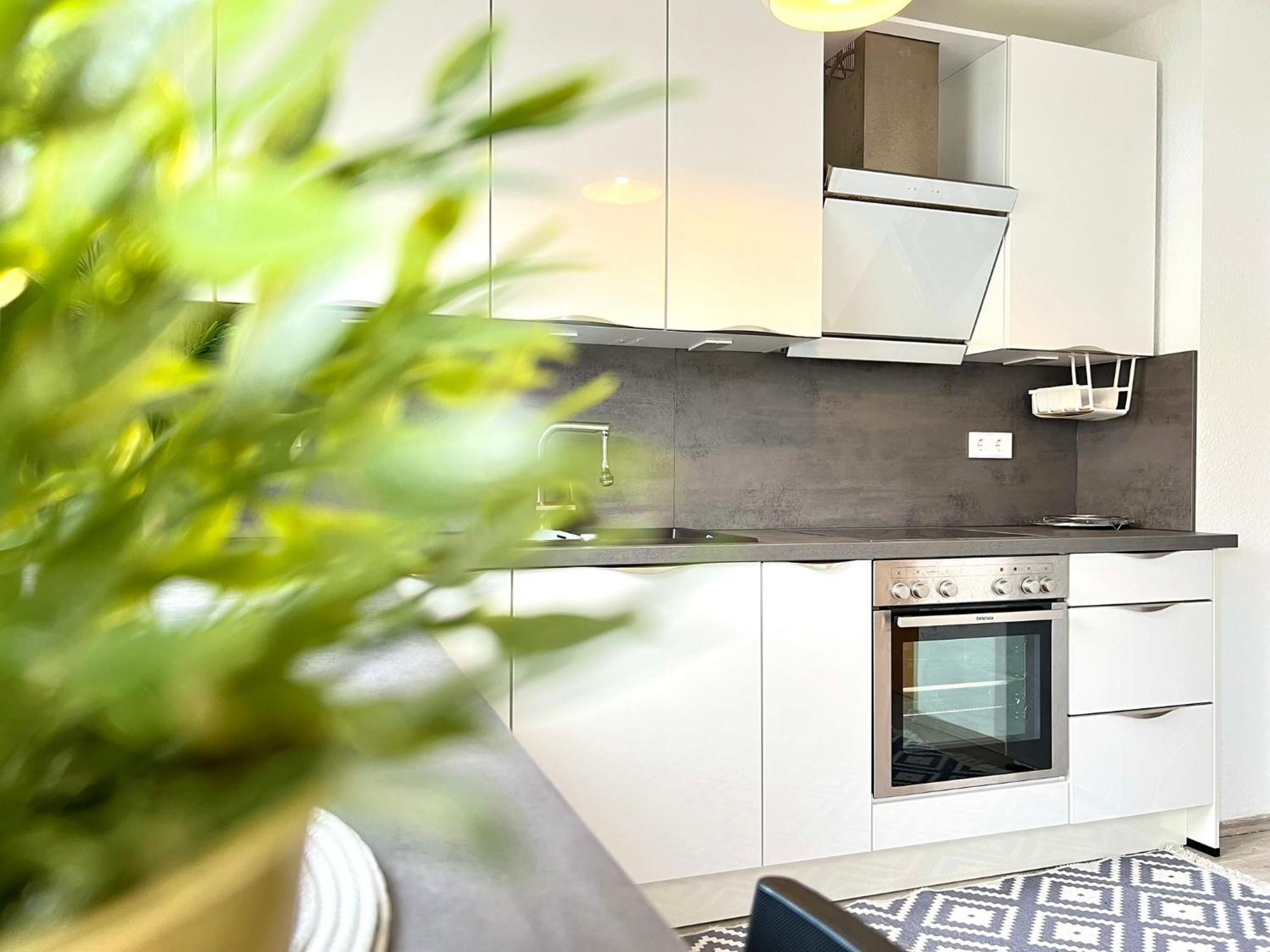 Comfy Apartment Mit Garten In Koeln Kültér fotó